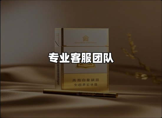 专业优势